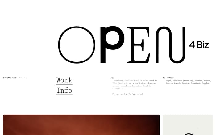 Caleb Vanden Boom website preview