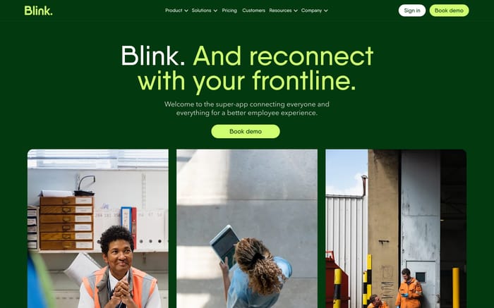 Blink website preview