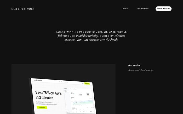 Our Life's Work website preview