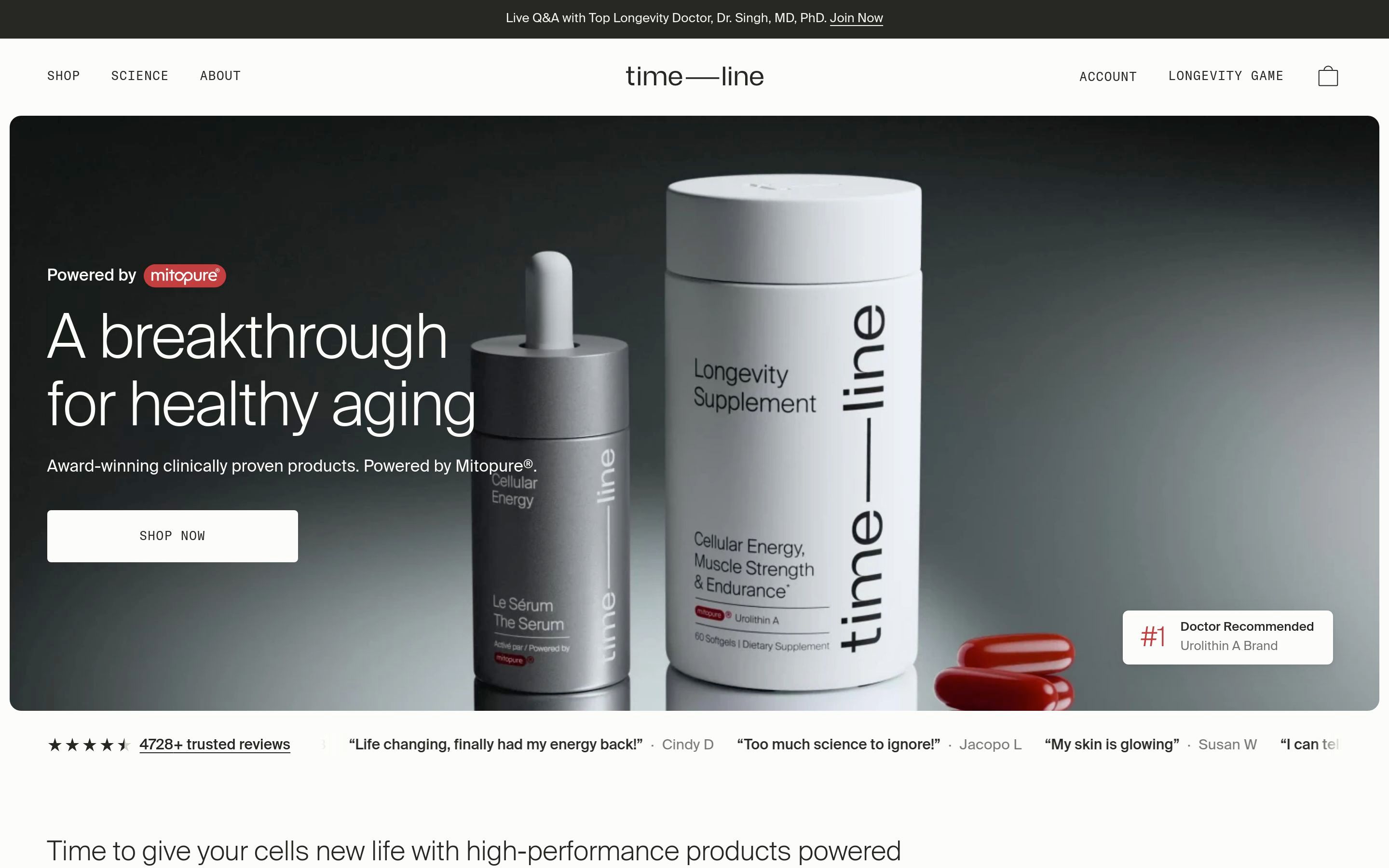 Timeline website preview