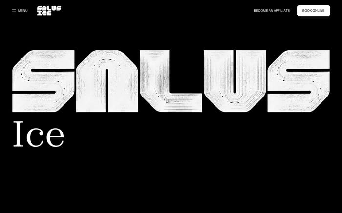 Salus Ice website preview