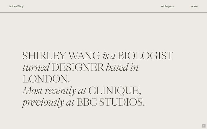 Shirley Wang website preview