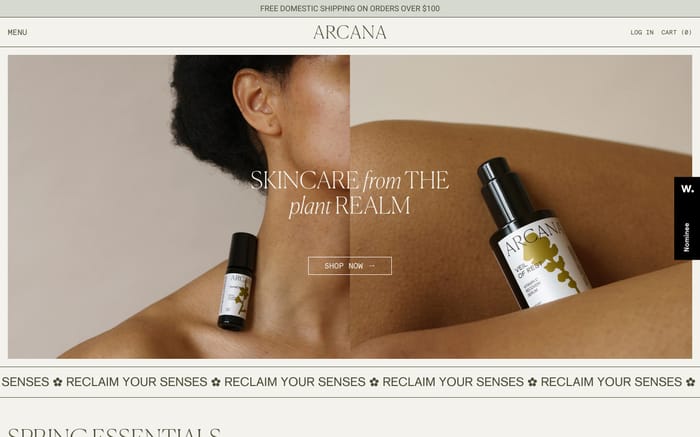 Arcana website preview
