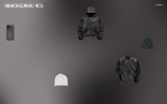 Skylrk website preview