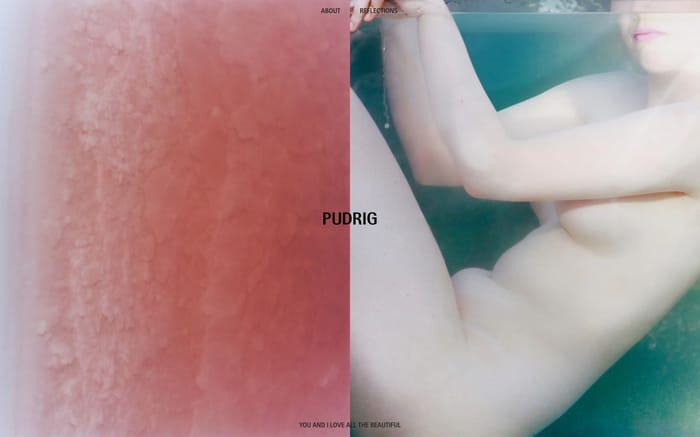Pudrig website preview