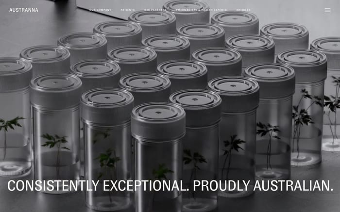 Austranna website preview