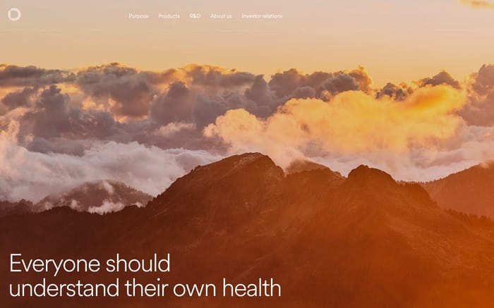 Deversify website preview