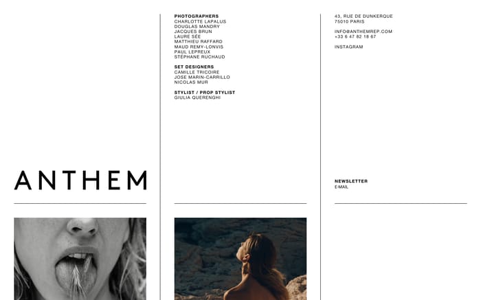 Anthem website preview