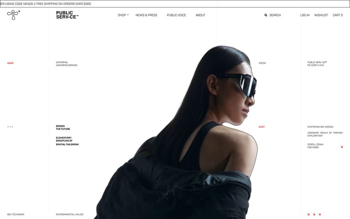 Public Serv-ce website preview
