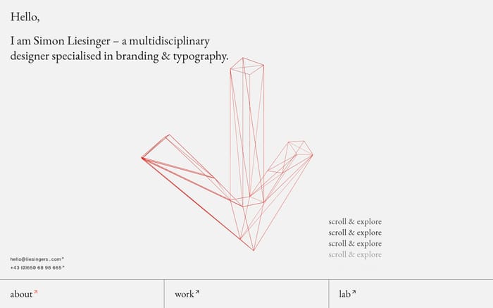 Simon Liesinger website preview