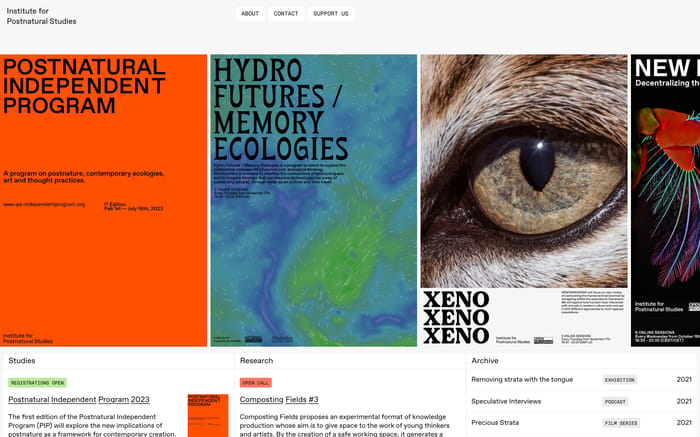 Institute for Postnatural Studies website preview
