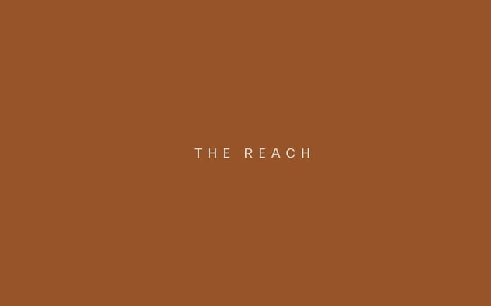 The Reach website preview