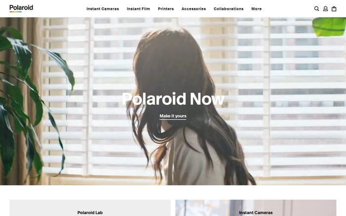 Polaroid website preview