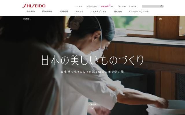 Shiseidogroup website preview