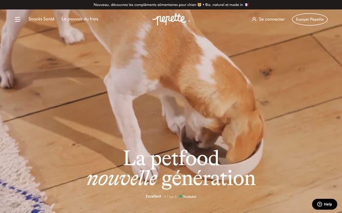 Pepette website preview