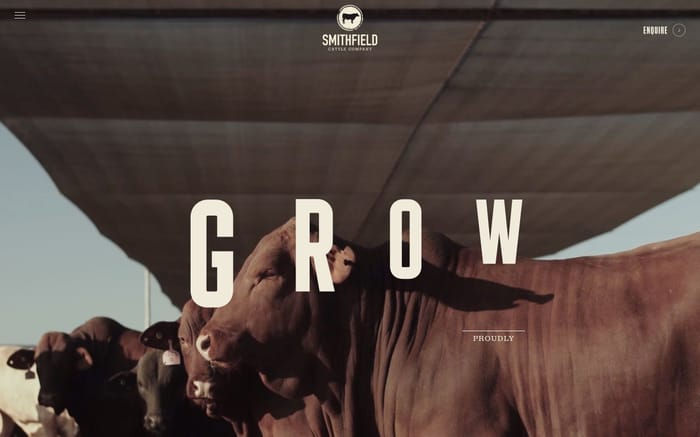 Smithfield Cattle Company website preview