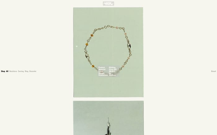 Nima Kaufmann website preview