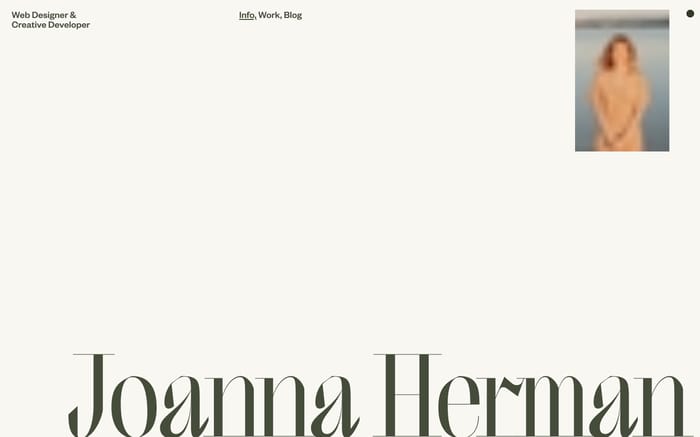 Joanna Herman website preview