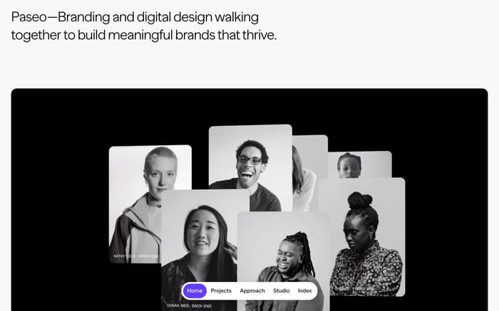 Paseo website preview