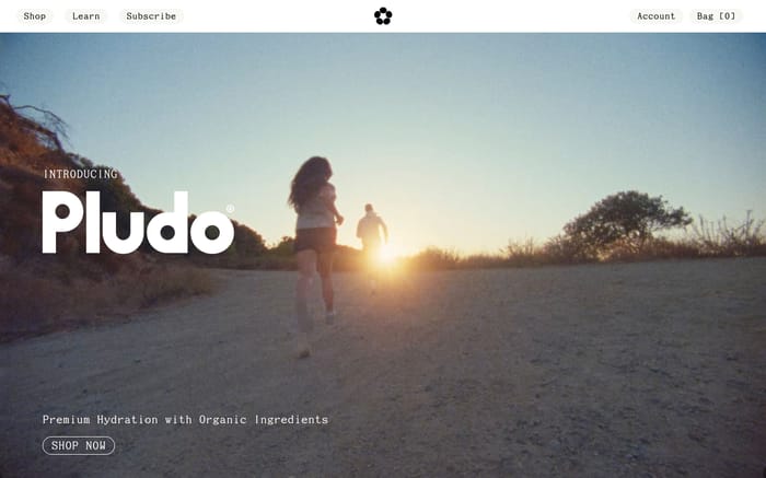 Pludo website preview