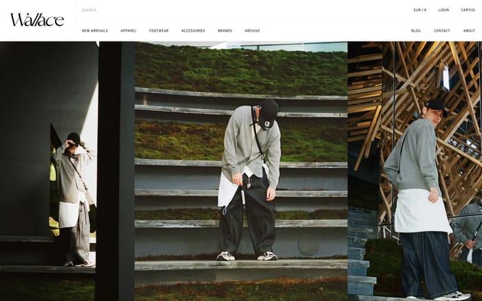 Wallace website preview