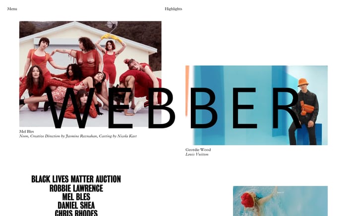 Webber website preview