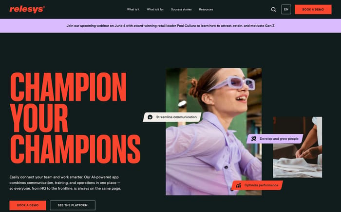 Relesys website preview