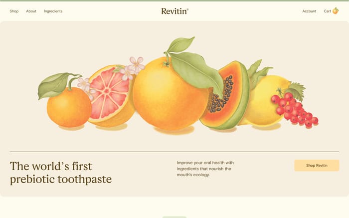 Revitin website preview