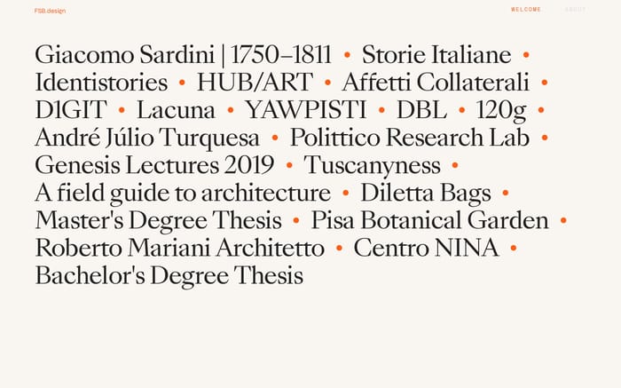 Fabio Santaniello Bruun website preview