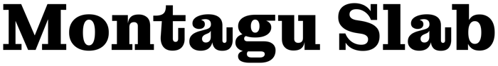 Montagu Slab font preview