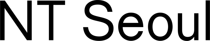 NT Seoul font preview