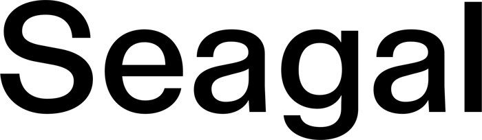 Seagal font preview