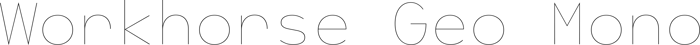 Workhorse Geo Mono font preview