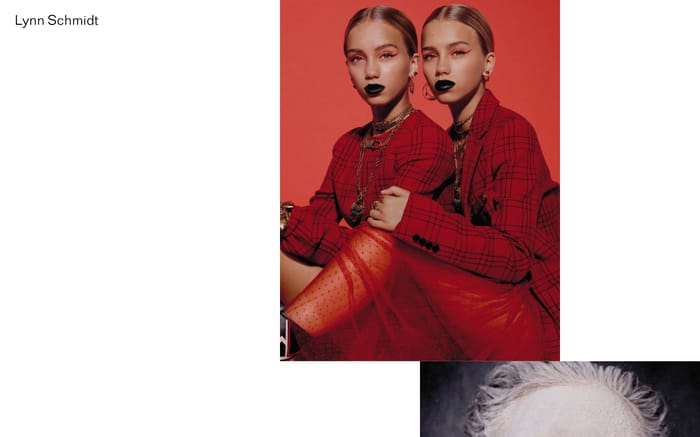 Lynn Schmidt website preview
