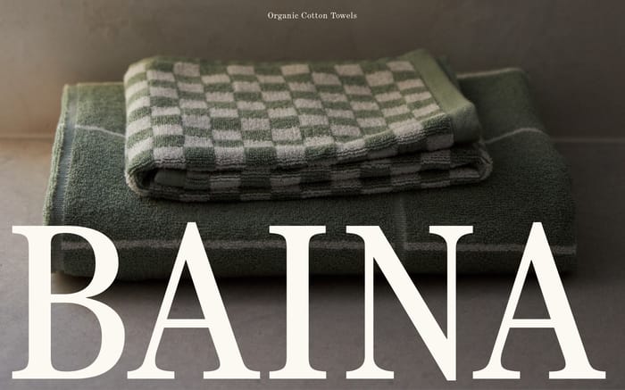 Baina website preview
