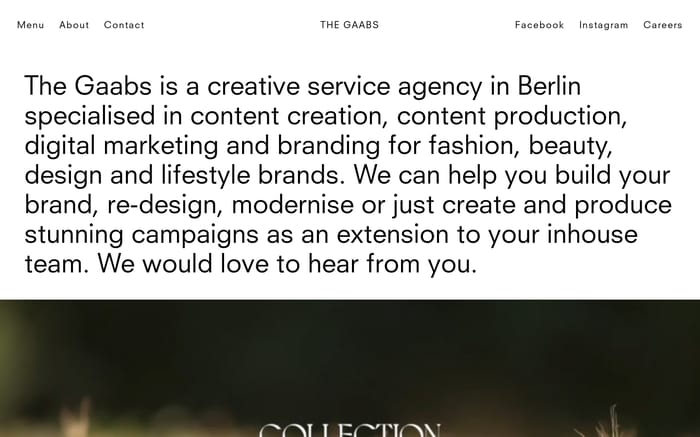 The Gaabs website preview