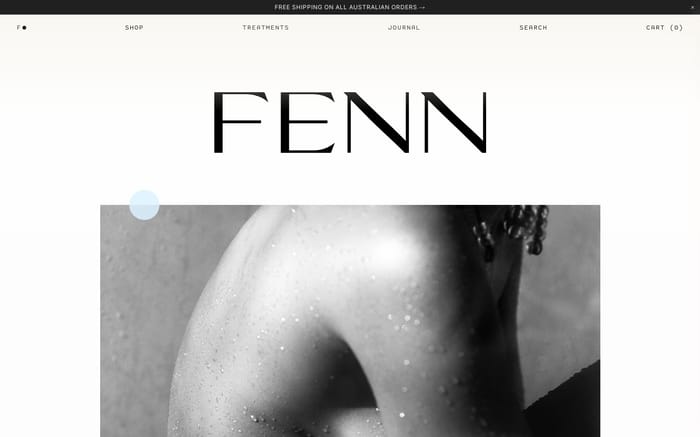Fenn website preview