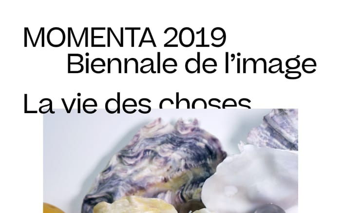 Momenta 2019 website preview