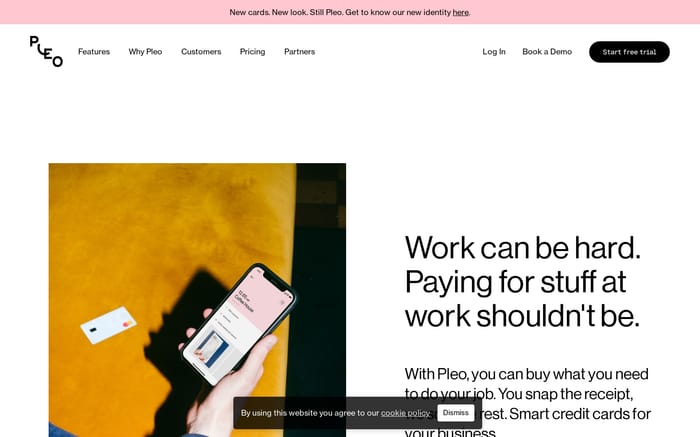 Pleo website preview
