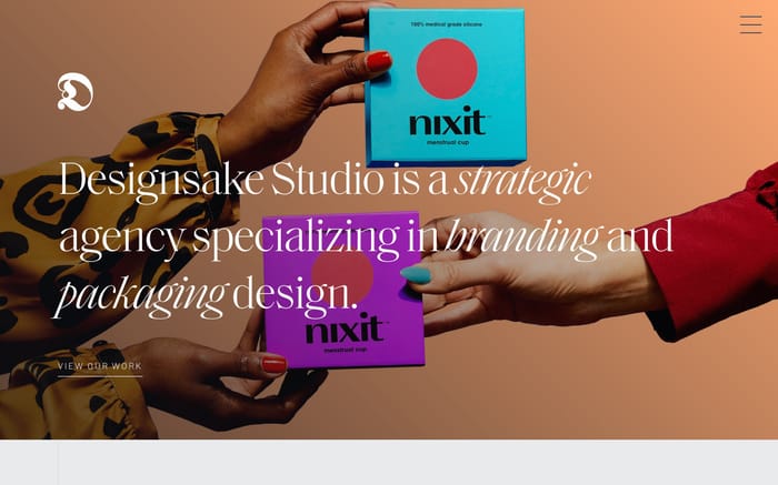 Designsake Studio website preview