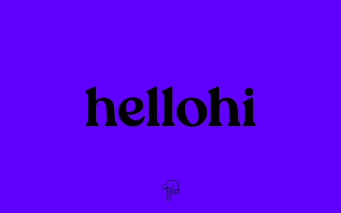 Hellohi website preview