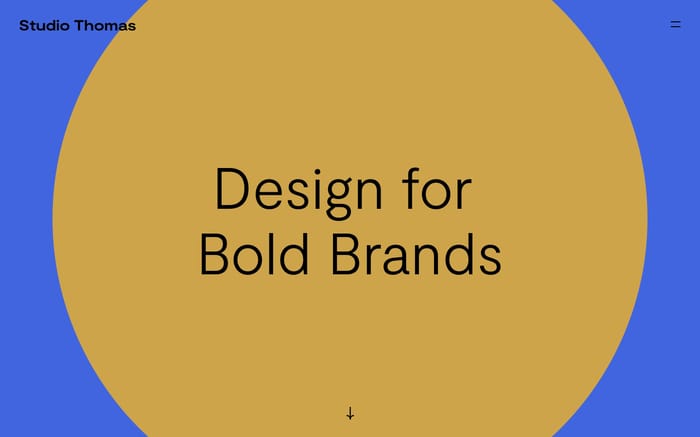 Studio Thomas | Design for Bold Brands | Design and Branding studio website preview