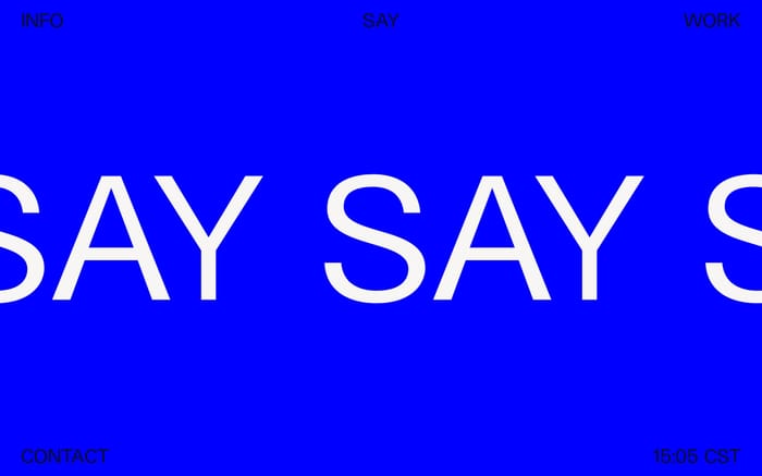 Say website preview