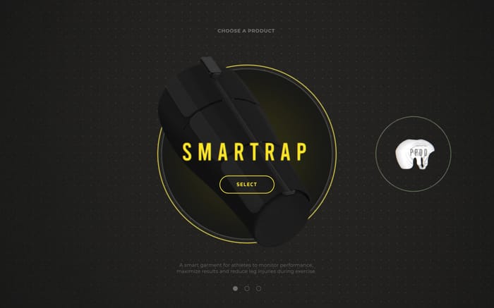 Fiomet website preview
