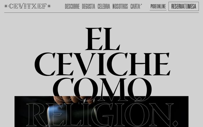 Cevitxef website preview