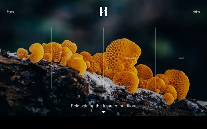 Hologram Sciences website preview