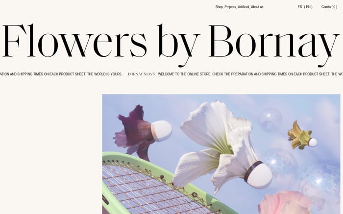 Flowers by Bornay website preview