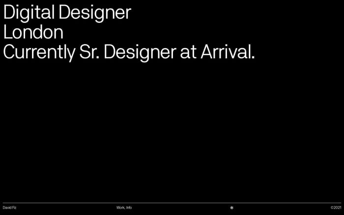 David Fiz website preview