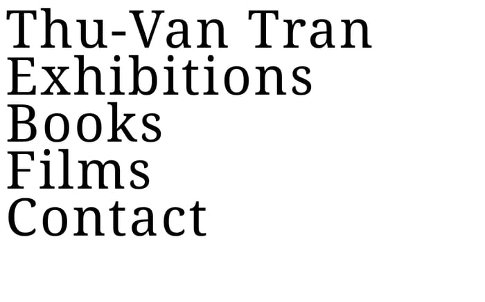 Thu-Van Tran website preview