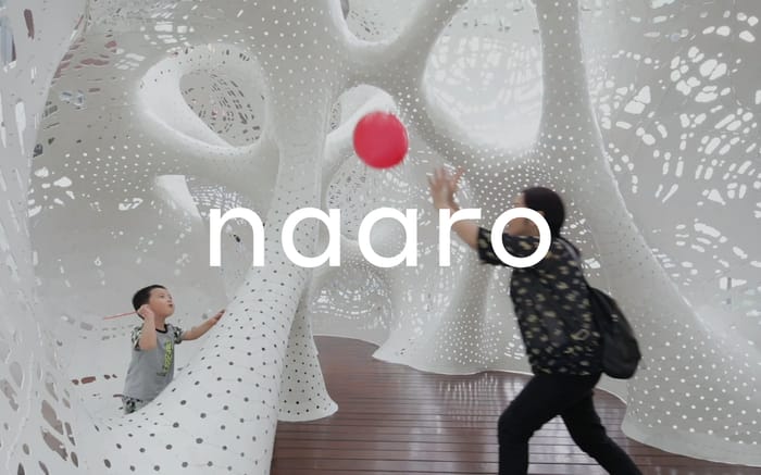 naaro website preview